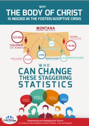 Foster/Adoptive Non Profit Needs Infographic of US and State of Montana Data | Infographic Design by schk