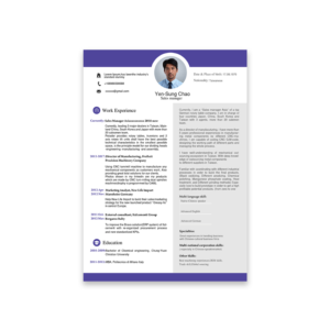 Resume for higher management position in a mechanical/consultant industries application* | Resume Design by debdesign