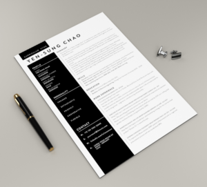 Resume for higher management position in a mechanical/consultant industries application* | Resume Design by lionx
